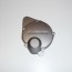 Suzuki GSX750F 98-06m Originalus  generatoriaus dangtelis kodas 11381-26D11