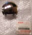 Suzuki 35654-38A20, 3565438A20