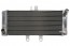 Radiatorius 4RIDE RAD-626 GSF1250 Bandit 07-14m 