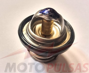Suzuki 17670-08D21, 1767008D21