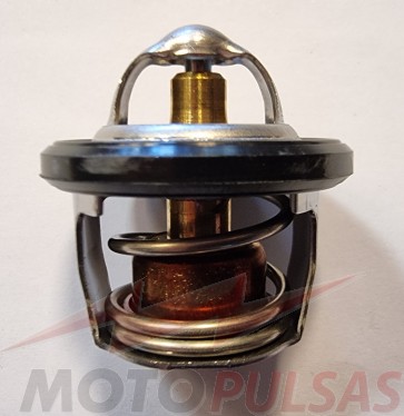 Suzuki 17670-19K01, 1767019K01